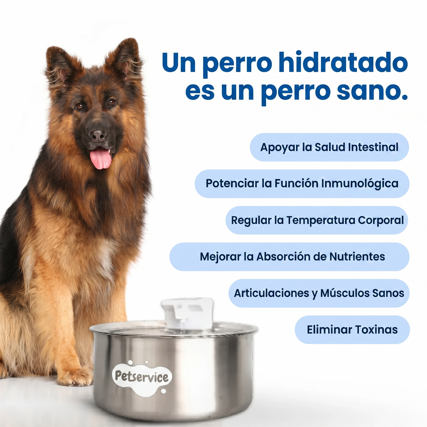 Fuente de agua | Petservice